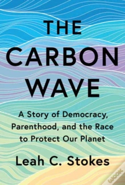 Capa do artigo The Carbon Wave