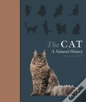 The Cat