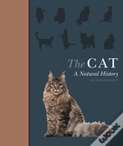 Capa do artigo The Cat
