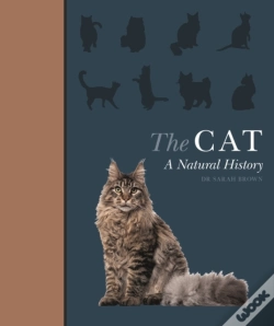 Capa do artigo The Cat
