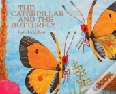The Caterpillar And The Butterfly