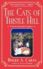 The Cats Of Thistle Hill - Preview