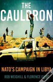 Capa do artigo The Cauldron