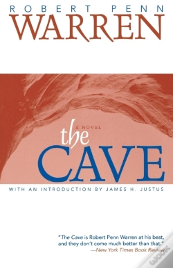 Capa do artigo The Cave