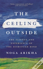 Capa do artigo The Ceiling Outside
