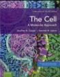 The Cell - Preview