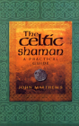 The Celtic Shaman - Preview