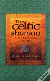 Capa do artigo The Celtic Shaman