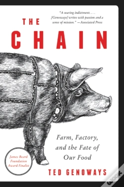 Capa do artigo The Chain