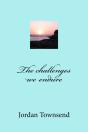 The Challenges We Endure - Preview