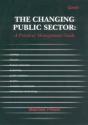 The Changing Public Sector: A Practical Management Guide - Preview