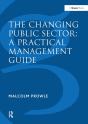 The Changing Public Sector: A Practical Management Guide - Preview