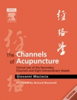 Capa do artigo The Channels Of Acupuncture