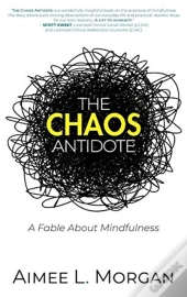 The Chaos Antidote
