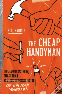 Capa do artigo The Cheap Handyman