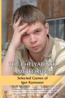 The Chelyabinsk Meteorite
