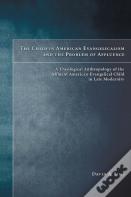 The Child In American Evangelicalism And The Problem Of Affluence