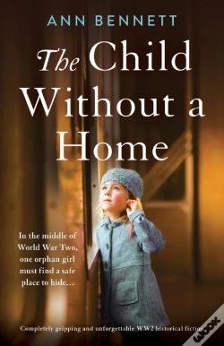 Capa do artigo The Child Without A Home: Completely Gri