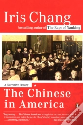 The Chinese In America