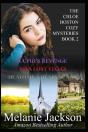 The Chloe Boston Cozy Mysteries Book 2 - Preview