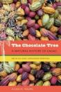 The Chocolate Tree - Preview