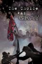The Choice Was Gray - Preview