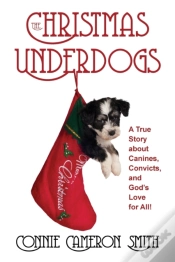 Capa do artigo The Christmas Underdogs