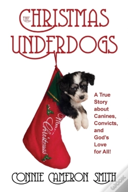 Capa do artigo The Christmas Underdogs