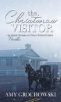 The Christmas Visitor - Preview