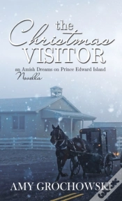 Capa do artigo The Christmas Visitor
