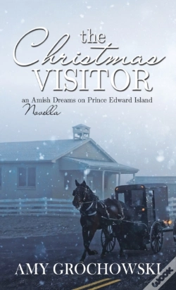 Capa do artigo The Christmas Visitor