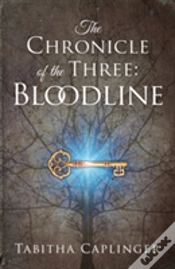 Capa do artigo The Chronicle Of The Three