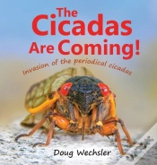Capa do artigo The Cicadas Are Coming!
