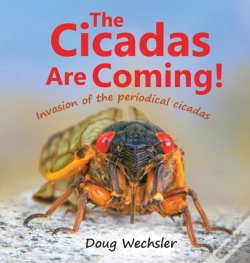 Capa do artigo The Cicadas Are Coming!