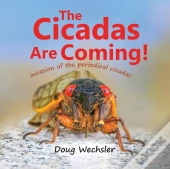 The Cicadas Are Coming!