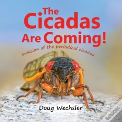 Capa do artigo The Cicadas Are Coming!