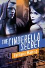 The Cinderella Secret - Preview