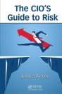 The Cioâ€™S Guide To Risk - Preview