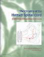 The Circuitry Of The Human Spinal Cord - Preview