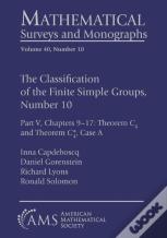 The Classification Of The Finite Simple Groups, Number 10