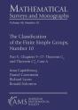The Classification Of The Finite Simple Groups, Number 10 - Preview