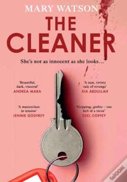 Capa do artigo The Cleaner