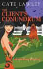 The Client'S Conundrum - Preview
