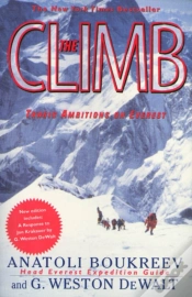 Capa do artigo The Climb