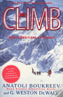Capa do artigo The Climb