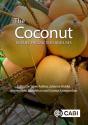 The Coconut - Preview
