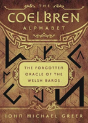The Coelbren Alphabet - Preview