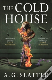 Capa do artigo The Cold House