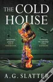 Capa do artigo The Cold House