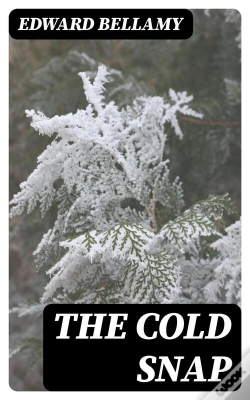Capa do artigo The Cold Snap